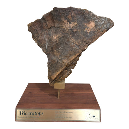 Triceratops Frill + Stand