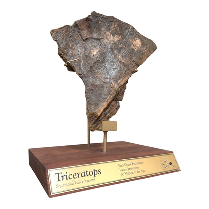 Triceratops Frill + Stand