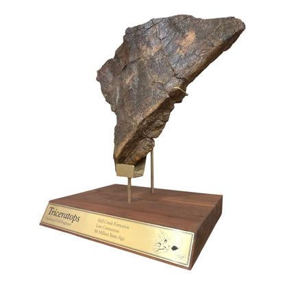 Triceratops Frill + Stand