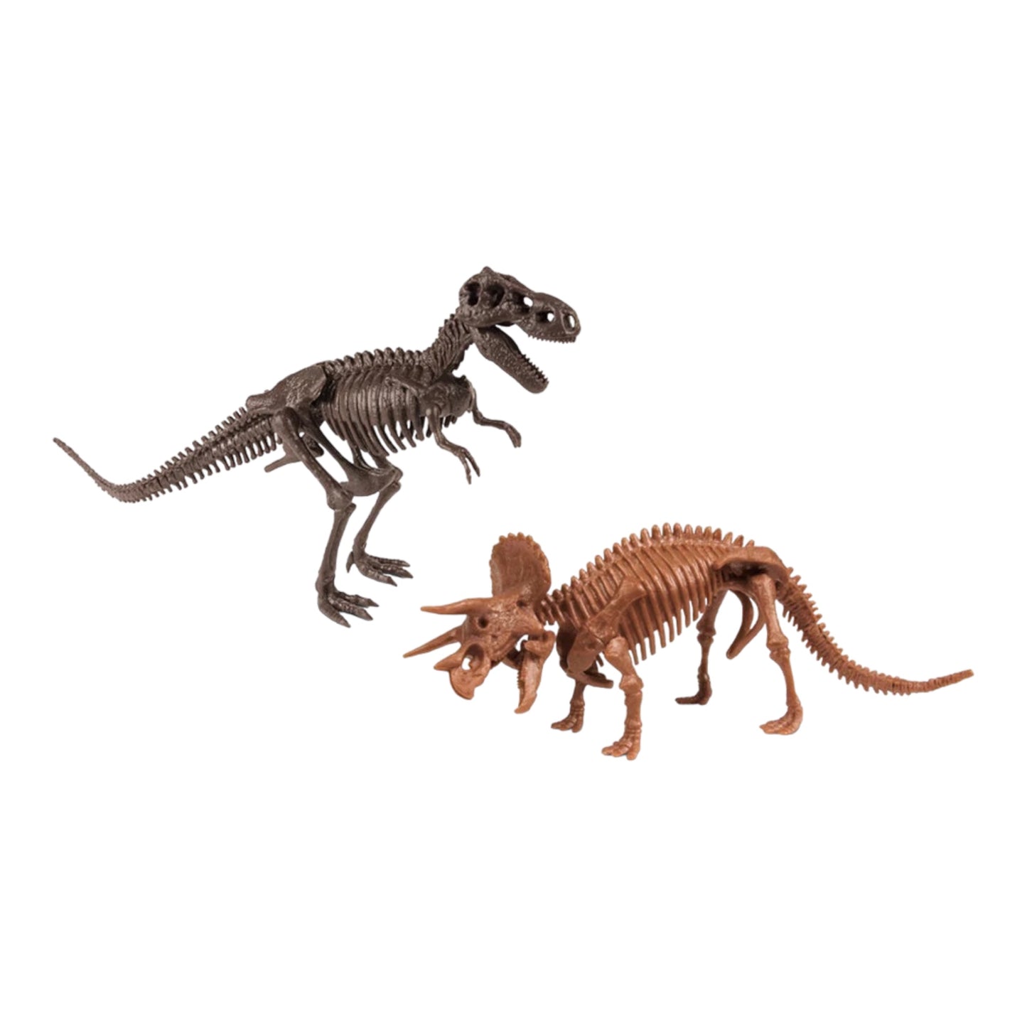 Dr. Steve Hunters Excavation Kit (Triceratops Vs T-Rex)