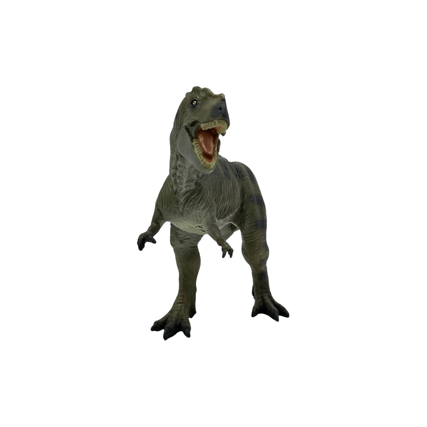 Tyrannosaurus Rex (Safari)