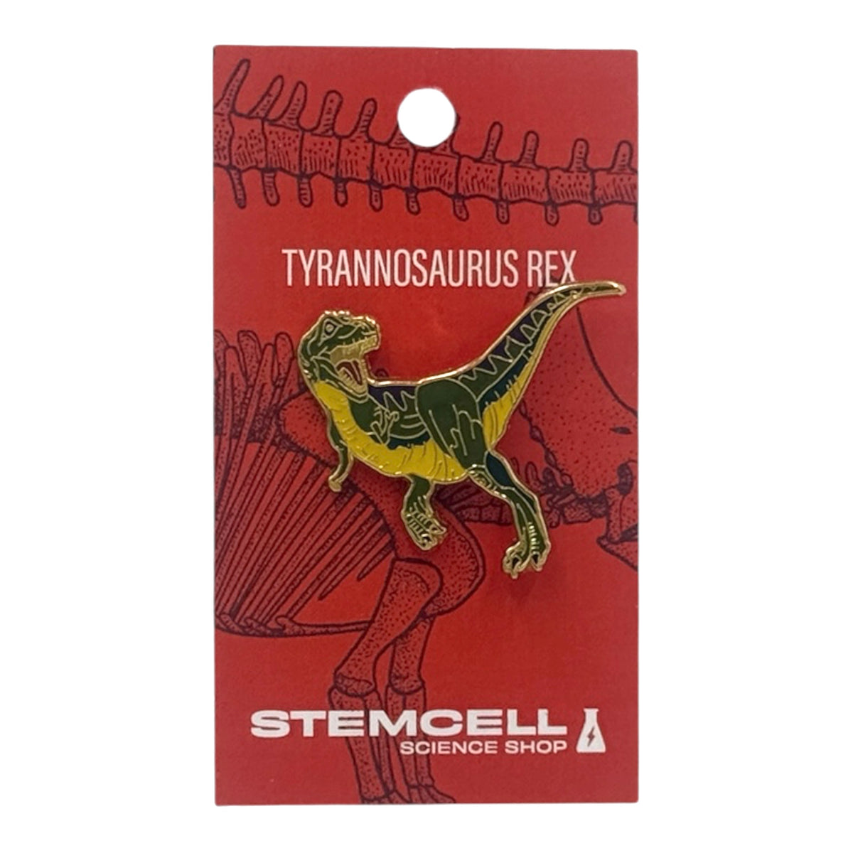 Prehistoric Pin