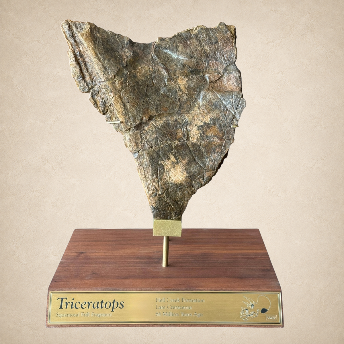 Tyrannostorus