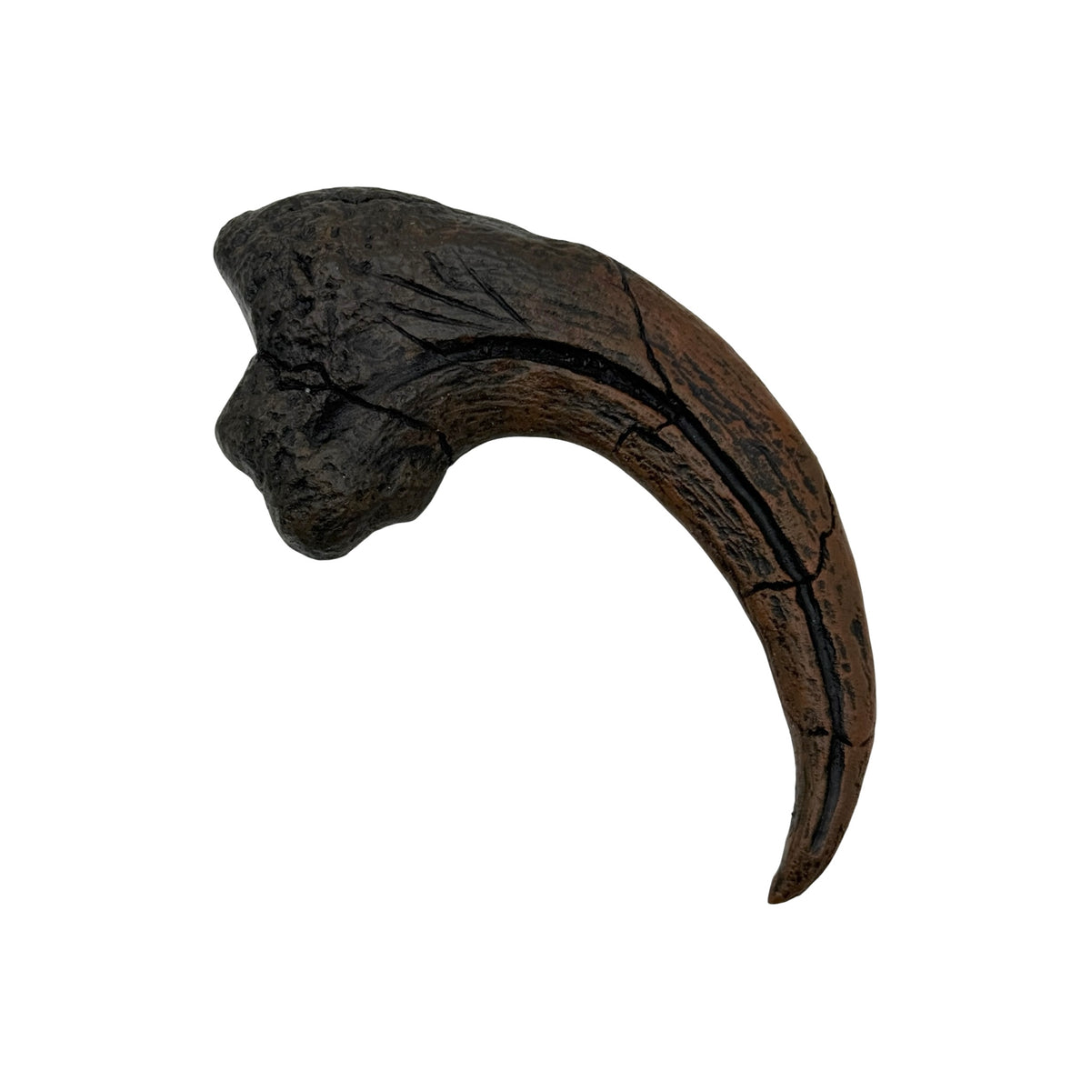 Claw Replica (Utahraptor Killing Claw)