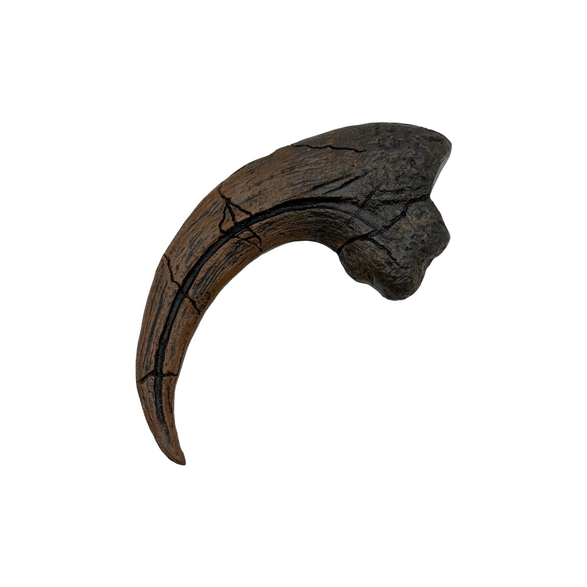 Claw Replica (Utahraptor Killing Claw)