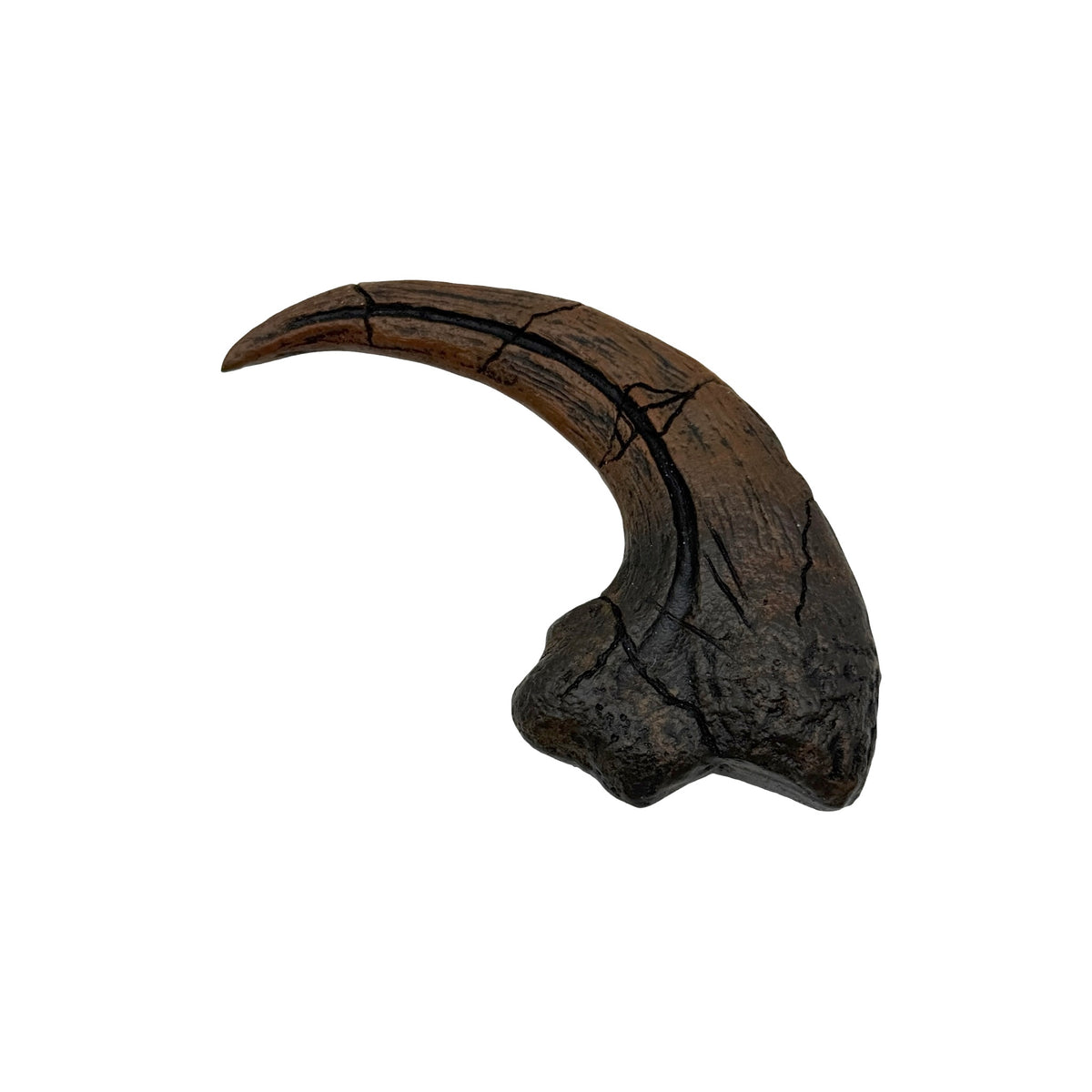 Claw Replica (Utahraptor Killing Claw)