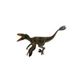 Feathered Velociraptor, Multicolored (Papo)