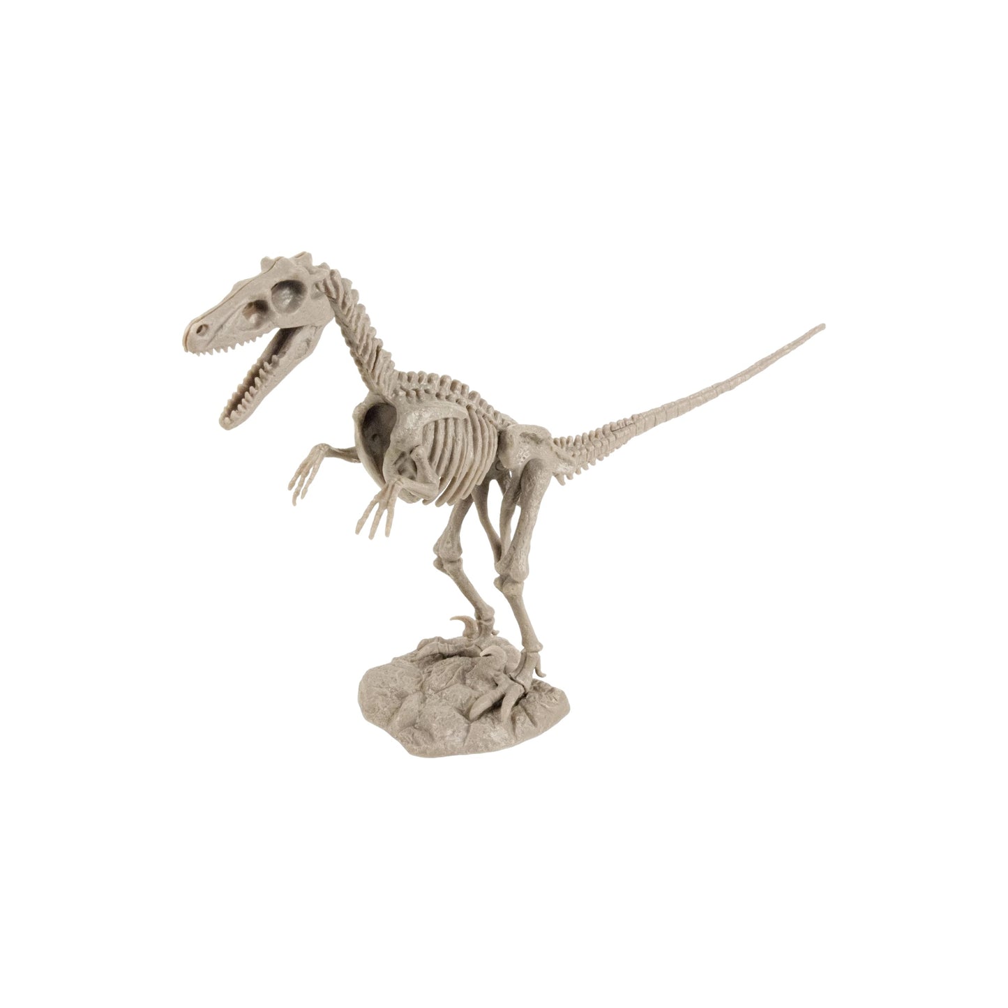 Dr. Steve Hunters Excavation Kit (Velociraptor)