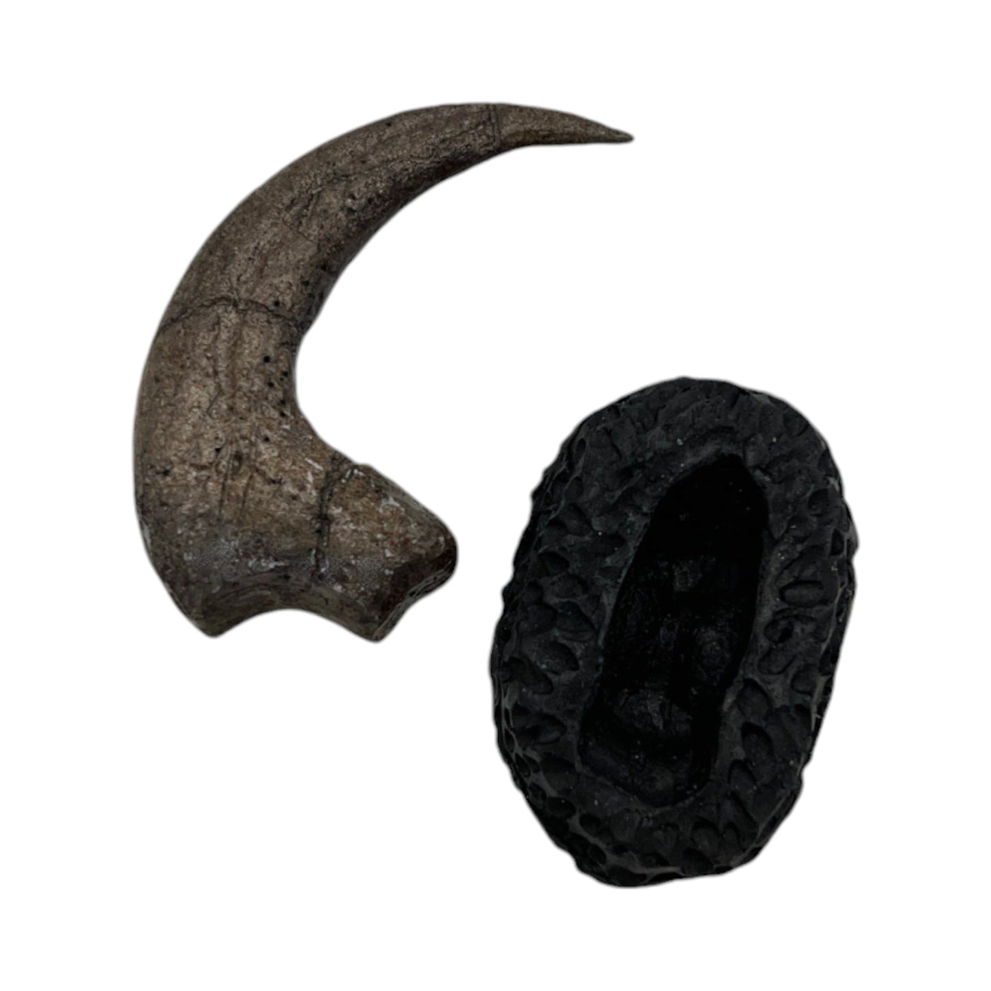 Claw Replica (Velociraptor Killing Claw + Base)