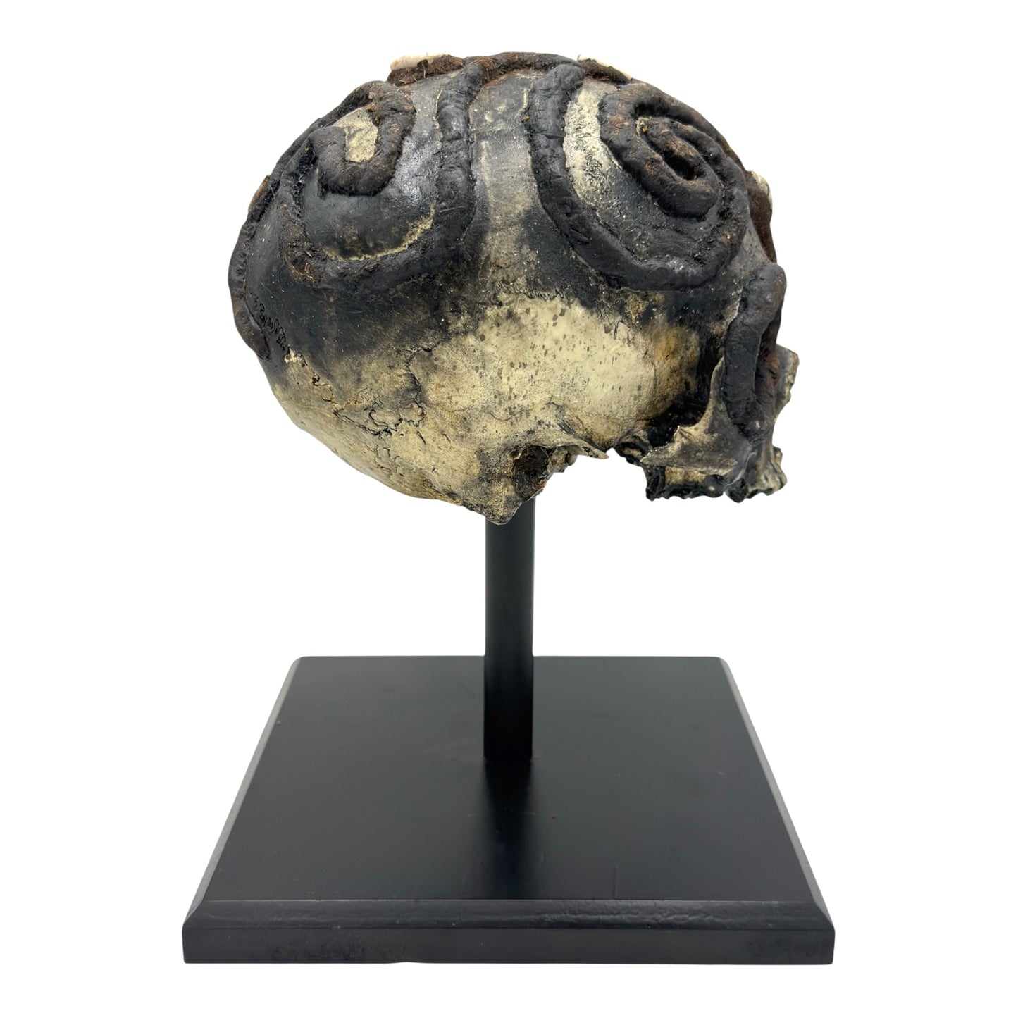 African Voodoo Tribal Chief Skull