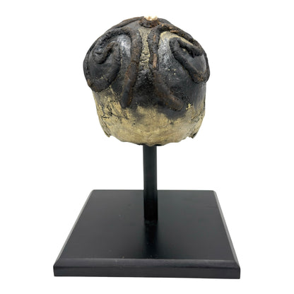 African Voodoo Tribal Chief Skull