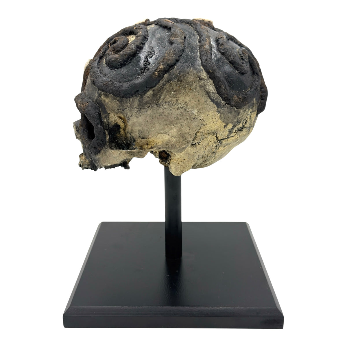 African Voodoo Tribal Chief Skull
