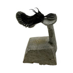 Walliserops tridens Trilobite