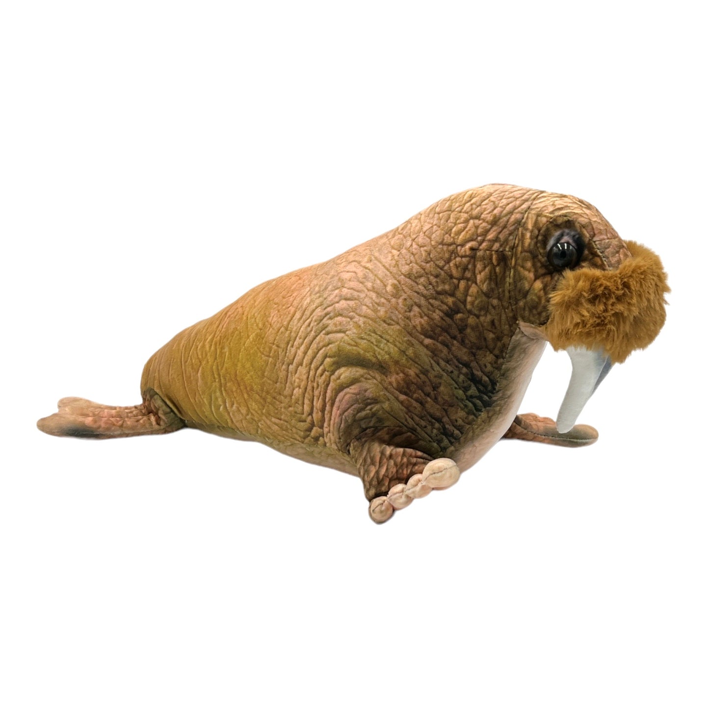 Walrus Plush