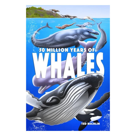 50 Million Years of Whales