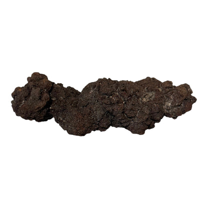 Coprolite (XL)
