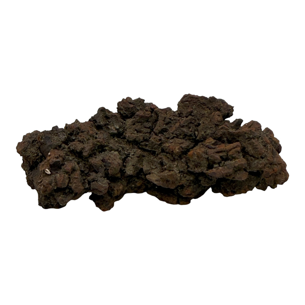 Coprolite (XL)