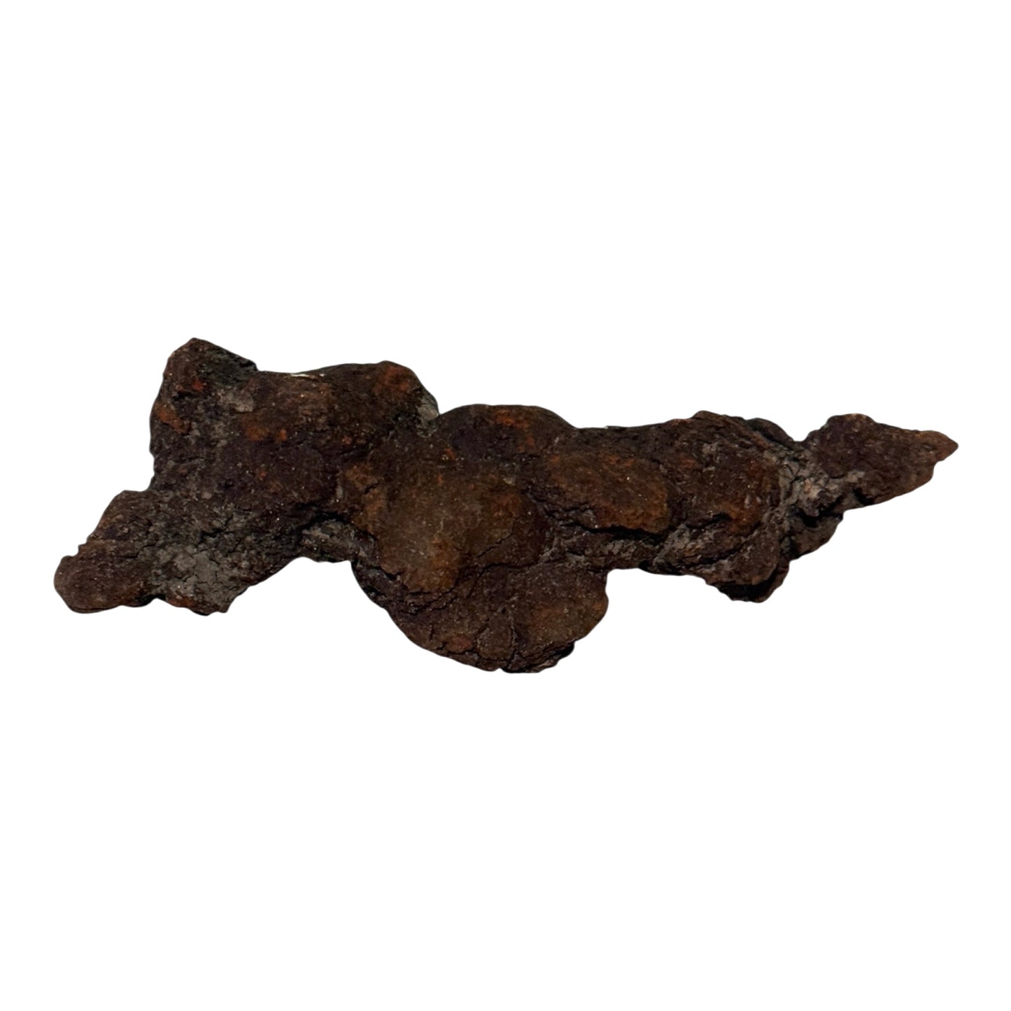 Coprolite (XL)