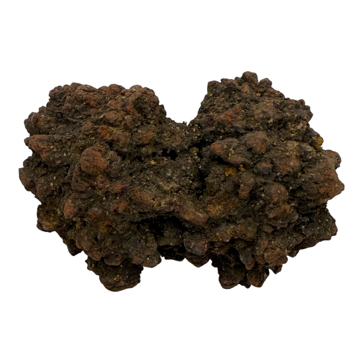 Coprolite (XL)