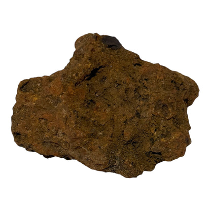 Coprolite (XL)