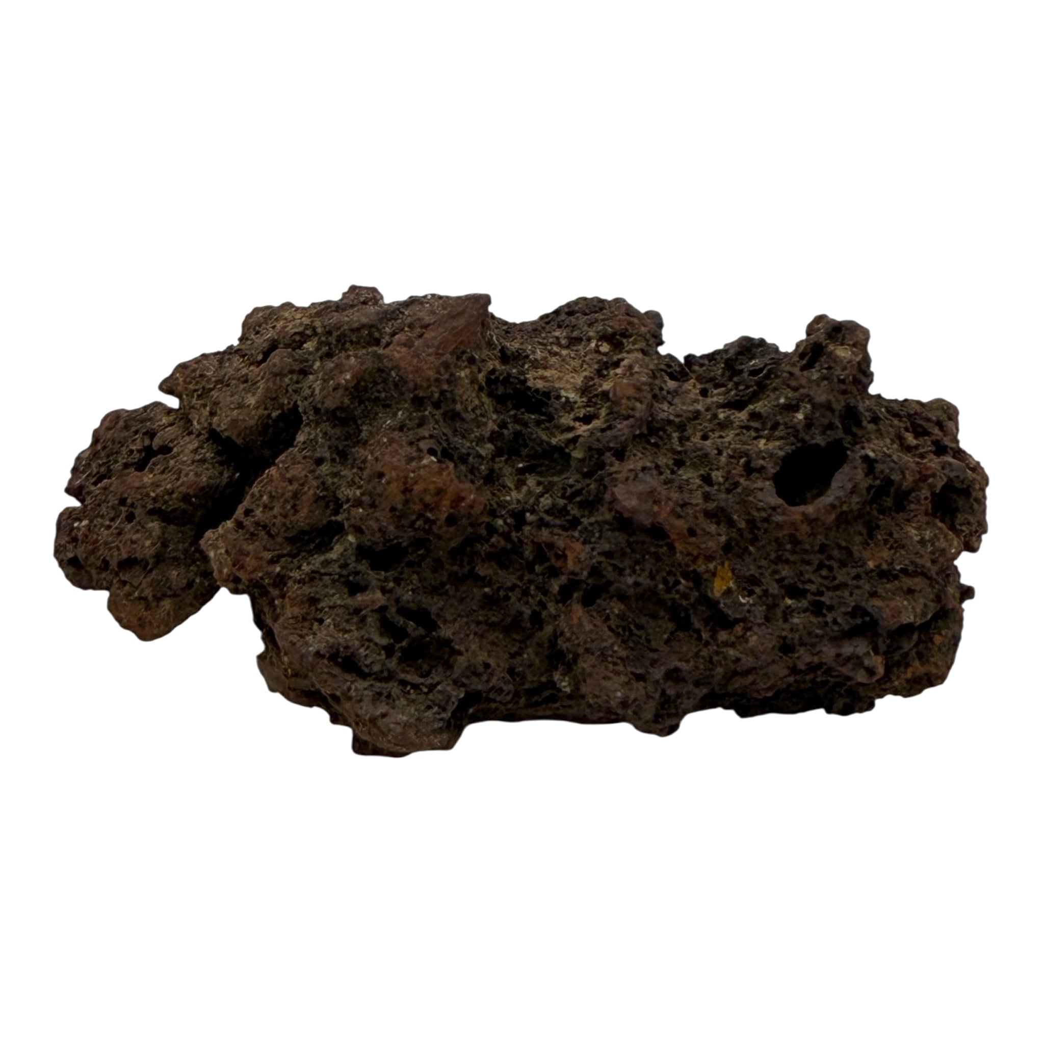 Coprolite (XL)