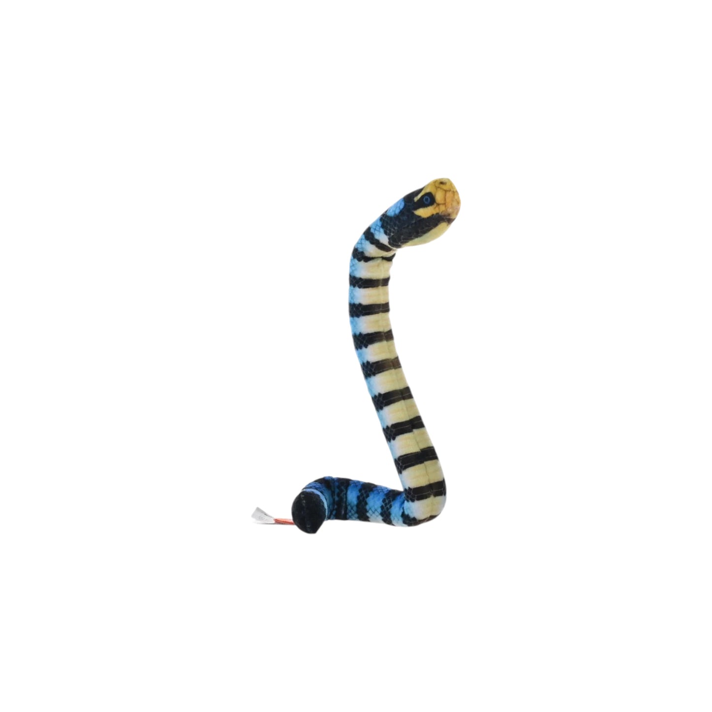 Coilkins Snake