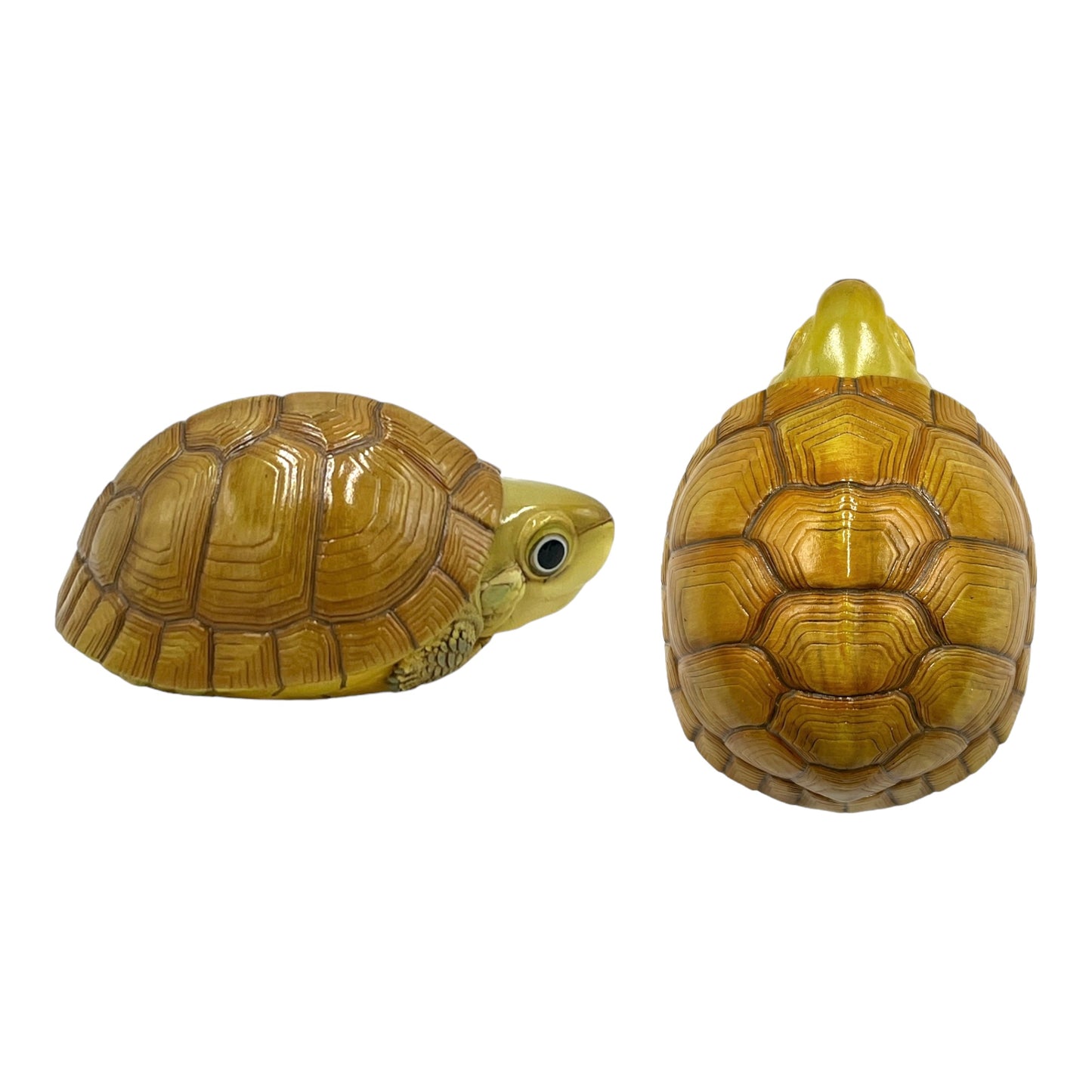 Turtle Statue (Series 19)