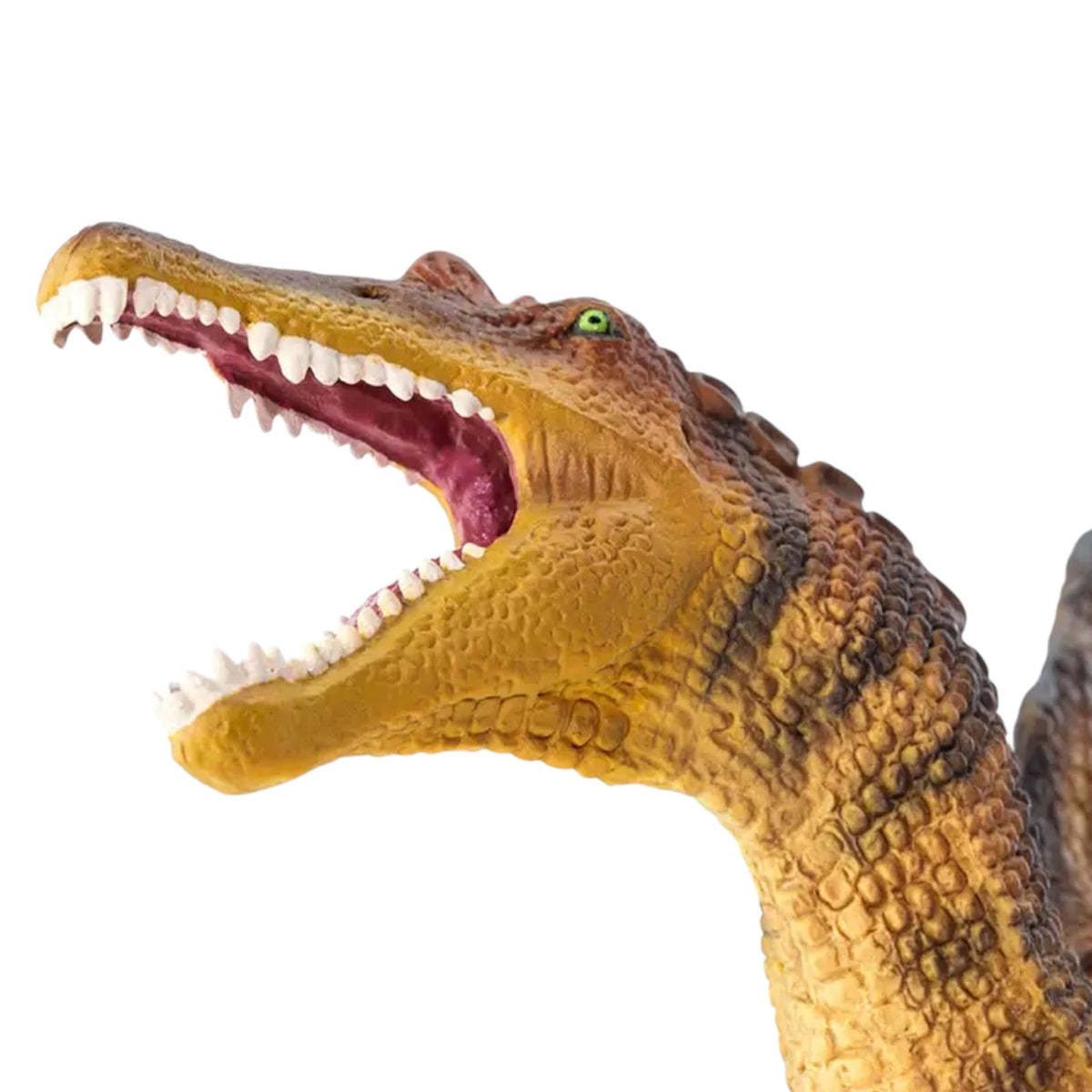 Spinosaurus (Safari)