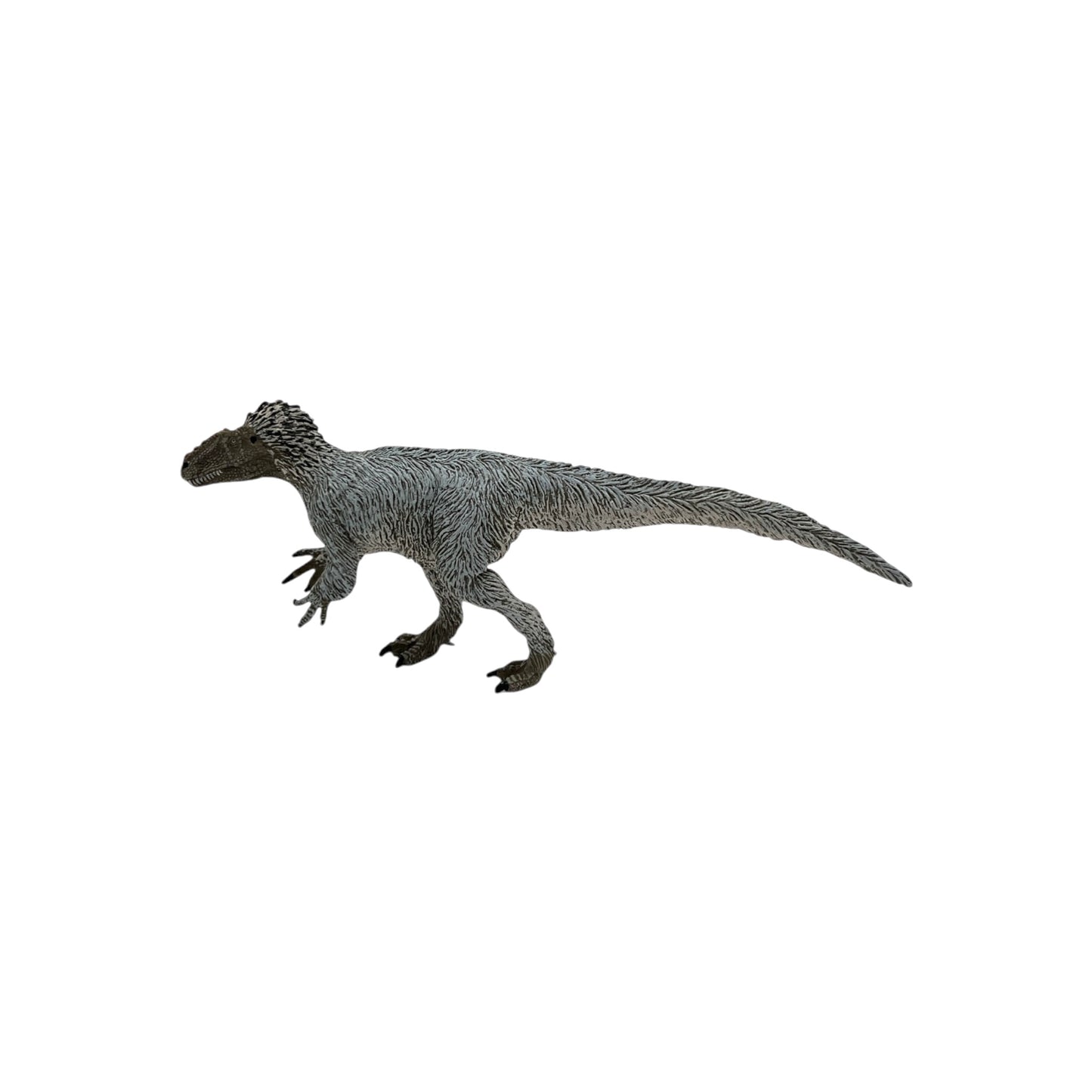 Yutyrannus (Safari)