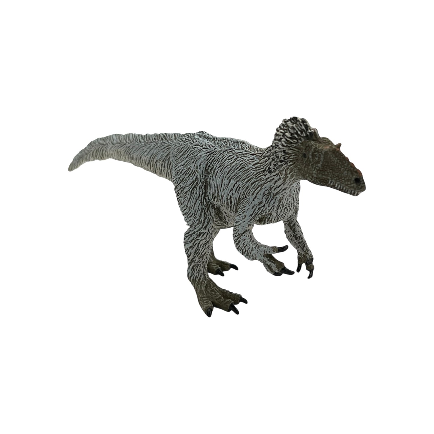 Yutyrannus (Safari)